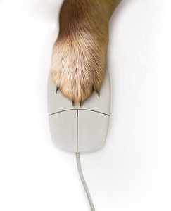 靖宇縣四輪定位有限責任公司